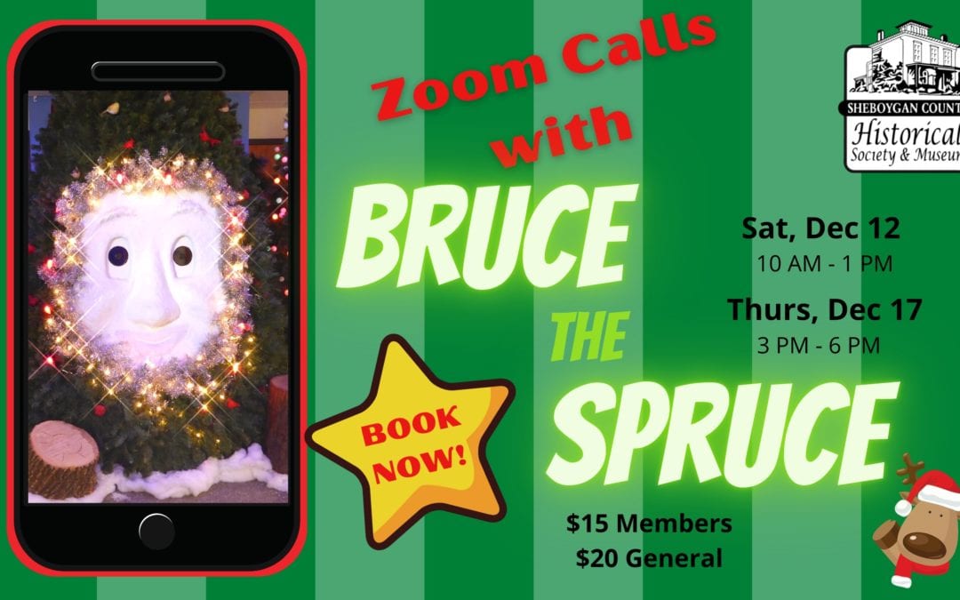 Zoom Calls with Bruce the Spruce